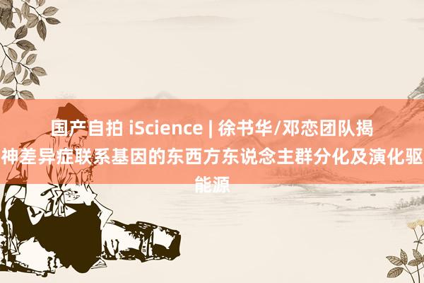 国产自拍 iScience | 徐书华/邓恋团队揭示精神差异症联系基因的东西方东说念主群分化及演化驱能源