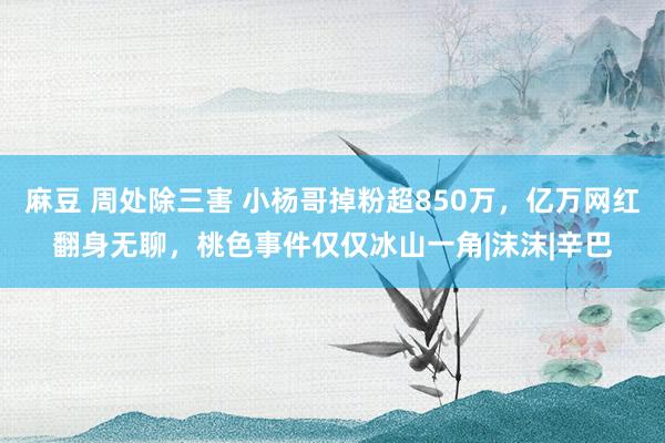 麻豆 周处除三害 小杨哥掉粉超850万，亿万网红翻身无聊，桃色事件仅仅冰山一角|沫沫|辛巴