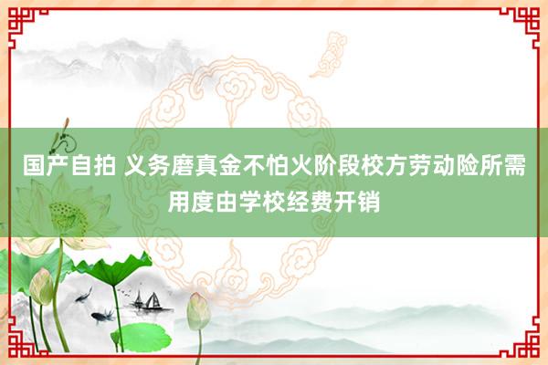 国产自拍 义务磨真金不怕火阶段校方劳动险所需用度由学校经费开销