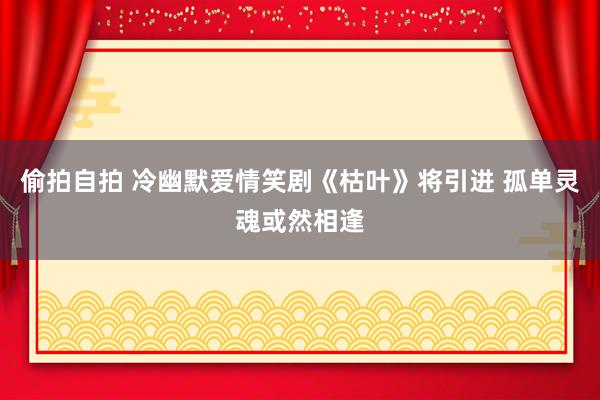 偷拍自拍 冷幽默爱情笑剧《枯叶》将引进 孤单灵魂或然相逢