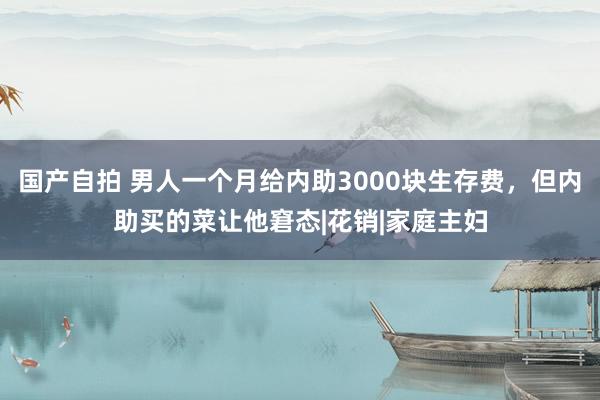 国产自拍 男人一个月给内助3000块生存费，但内助买的菜让他窘态|花销|家庭主妇